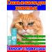 Drops for the eyes of dogs and cats 60 ml*3