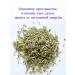 Tula Herbalist Wormwood bitter grass dried for candles and rituals - Buy Online on GoSupps.com