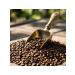 King Coffee in Zabaglion grains 1 kg - Buy Online on GoSupps.com
