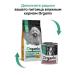 Organix For dogs of small breeds with chicken fruits and vegetables 3 kg - Buy Online on GoSupps.com