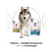 Organix Hypoallergenic for dogs with food allergies 2.5 kg - Buy Online on GoSupps.com