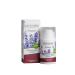 Crimean rose Night face cream with an anti -aging effect of lavender 50 ml - Buy Online on GoSupps.com