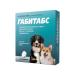 Apicenna Gabitabs 200 mg for medium and large breed dogs 10 tablets - Buy Online on GoSupps.com