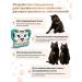 Tailed Friend Wet food for the prevention of gastrointestinal gastrointestinal diseases - Buy Online on GoSupps.com