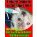 Eye drops for cats and dogs from conjunctivitis 120ml