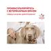ROYAL CANIN Dry food for dogs for Anallergenic 3 kg allergies - Buy Online on GoSupps.com