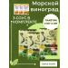 GREENFOOD Sea grapes of food umi Budo 3*35 gr + 3 sauces