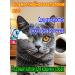 xie de yuan Cataract drops for dogs cat