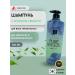 ELASTINE Perfume Pure Breeze shampoo with freshness aroma 600 ml