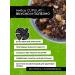 CUPULAT Caramelized nibs-kakao with Brazilian nuts - Buy Online on GoSupps.com