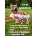 DISOLDI Goodies for dogs sausage beef 320 grams - Buy Online on GoSupps.com