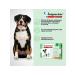 Neoterica Drops for dogs Inspector Quadro C 4 - 10 kg 1 ml 3 pipettes - Buy Online on GoSupps.com