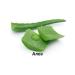 Alleva Holistic feed for puppies of small breeds chicken and duck 0.8 kg - Buy Online on GoSupps.com