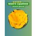 Mango natural dried without sugar- Cong 1kg - Buy Online on GoSupps.com