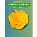 Mango natural dried without sugar- Cong 0 5kg - Buy Online on GoSupps.com