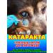 Eye drops for cats and dogs from cataracts
