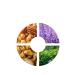 LETAFET Mask activator with hair growth pepper - Buy Online on GoSupps.com