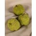 Southern herbalist Adam's apple maklura (fetus) 100 g - Buy Online on GoSupps.com