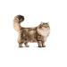 ROYAL CANIN Siberian Adult for adult Siberian cats 400 g - Buy Online on GoSupps.com