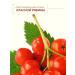 MJ House Hair balm with mountain ash extract 250 ml - Buy Online on GoSupps.com