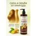 AIX Hair set shampoo and air conditioning from ginger extract - Buy Online on GoSupps.com