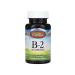 Carlson Labs Vitamin B2 100 vegetarian tablets