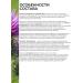 Probiotics and prebiotics of Linni hepanorm for the liver 30 Sasha - Buy Online on GoSupps.com