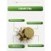 Gordeev Herbal collection for the liver and gastrointestinal tract - Buy Online on GoSupps.com