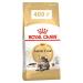 ROYAL CANIN Main Coon Adult for adult cats Maine Kun 400 g - Buy Online on GoSupps.com