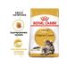 ROYAL CANIN Main Coon Adult for adult cats Maine Kun 400 g - Buy Online on GoSupps.com