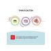 INABA CIAO Maguro Tuna Treats for Cats 3 x 10 g 3 pcs - Buy Online on GoSupps.com