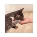 INABA CIAO Maguro Tuna Treats for Cats 3 x 10 g 3 pcs - Buy Online on GoSupps.com