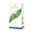 HYLEYS Green tea with blueberries 2 units of 25 bags - Buy Online on GoSupps.com