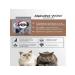 AlphaPet Wow feed for domestic cats and beef cats liver 350g - Buy Online on GoSupps.com