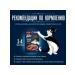 Felix Felix Felix food paste for beef and lamb cats 75 g 12pcs - Buy Online on GoSupps.com