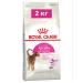ROYAL CANIN Dry food for adult cats Aroma Exigent 2 kg - Buy Online on GoSupps.com