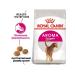 ROYAL CANIN Dry food for adult cats Aroma Exigent 2 kg - Buy Online on GoSupps.com
