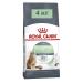 ROYAL CANIN Digestive Care 4 kg - Buy Online on GoSupps.com