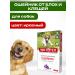 Celandine Maximum collar from fleas and ticks 65 cm for dogs red