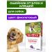 Celandine Maximum collar from fleas and ticks 65 cm for dogs purple