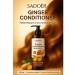 AIX Hair conditioner with ginger extract