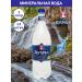 Shipped therapeutic mineral water jermuk with lemon