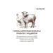 Grandorf Medium and cereals feed for dogs. Five lambs with turkey 1 kg - Buy Online on GoSupps.com