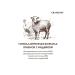 Grandorf Feed for dogs of large breeds of lambs with Maxi turkey 3 kg - Buy Online on GoSupps.com