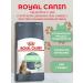 ROYAL CANIN Digestive Care Dry Cat Food (for the Digestive System) 400g