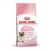 ROYAL CANIN Mother&Babycat Dry Food for Pregnant and Nursing Cats 2kg - Buy Online on GoSupps.com