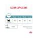 ROYAL CANIN Dry Hairball Care Feed for Cat Hairboll 2 kg - Buy Online on GoSupps.com