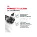 ROYAL CANIN Dry Hairball Care Feed for Cat Hairboll 2 kg - Buy Online on GoSupps.com