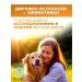 Apicenna Dirophen tablets for large dogs 6 tab - Buy Online on GoSupps.com