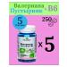Valerian+motherwort+b6 5 cans 250 tablets